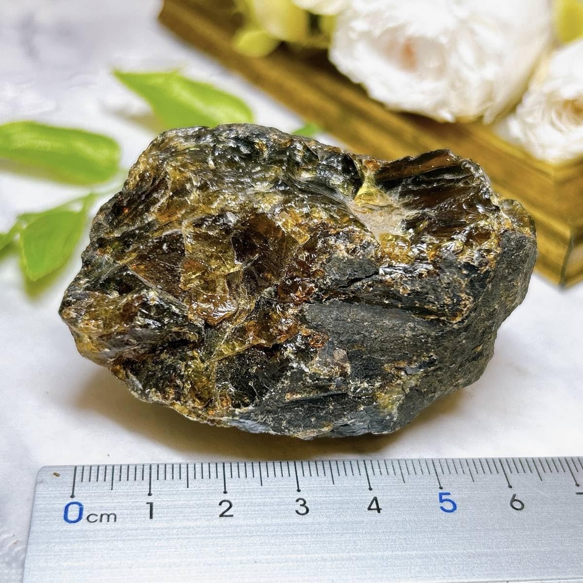 天然石　化石　鑑賞石　D597 天然石 化石 鑑賞石 D597